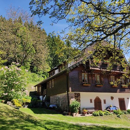 Ferienwohnungen Vogt'S Libding Bad Rippoldsau-Schapbach Exterior foto
