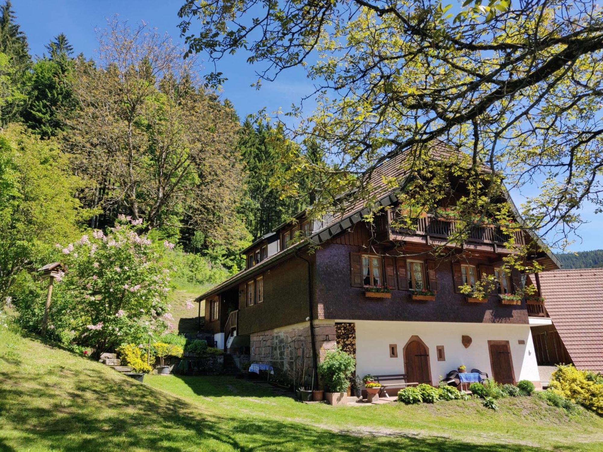 Ferienwohnungen Vogt'S Libding Bad Rippoldsau-Schapbach Exterior foto