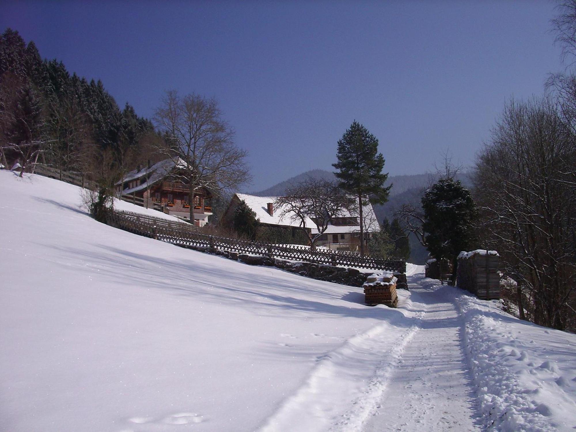 Ferienwohnungen Vogt'S Libding Bad Rippoldsau-Schapbach Exterior foto